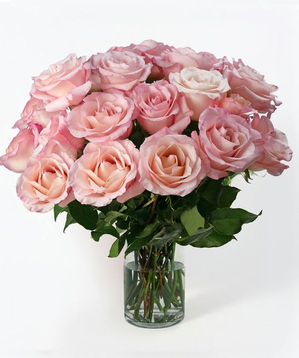Portfolio image for McNamara Florist