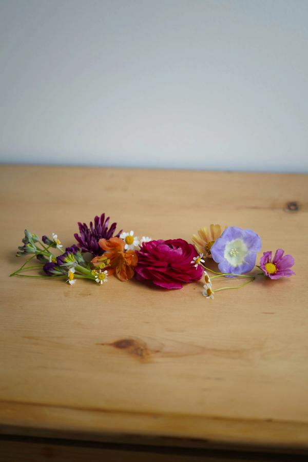 Portfolio image for Poppy & August
