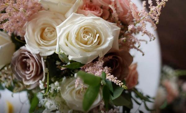 Portfolio image for White Pine Wedding Photo & Films