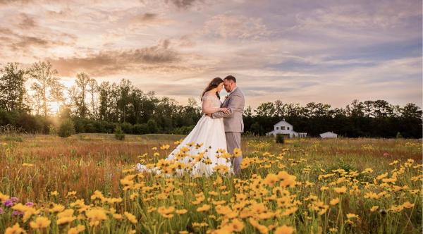 Portfolio image for Arbor Lane Studios
