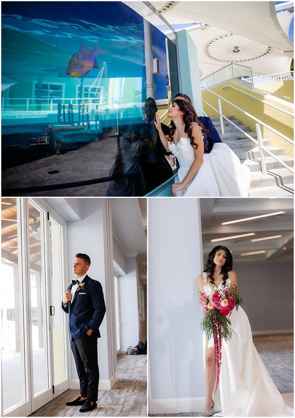 Gallery image for Loggerhead Marinelife Center