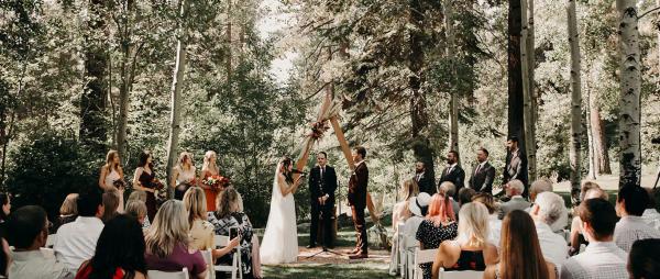 Gallery image for Aspen Grove