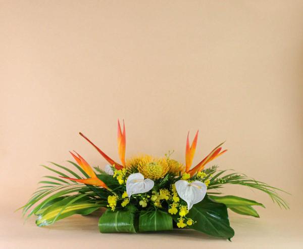 Portfolio image for Bella Bloom Maui