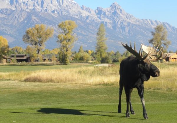 Gallery image for Jackson Hole Golf & Tennis Club