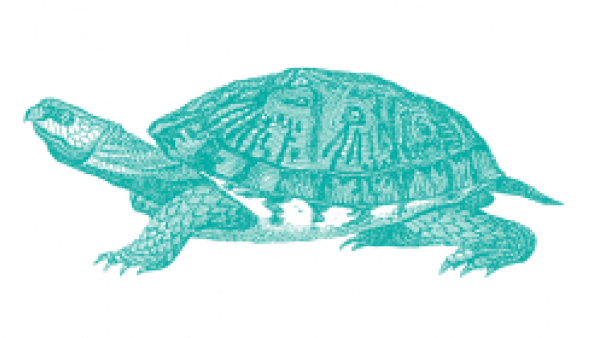Gallery image for Mustique Island