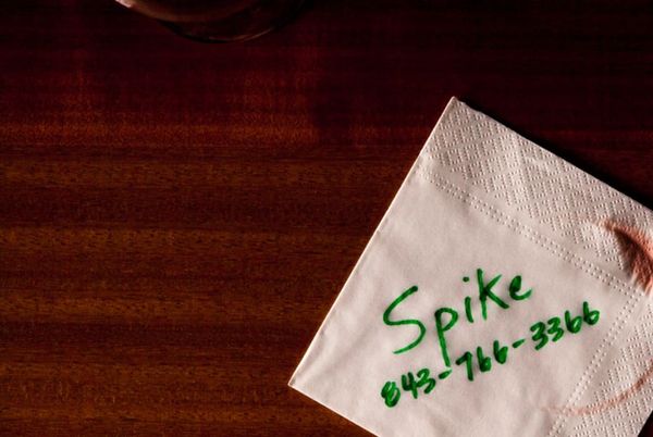 Portfolio image for Spike