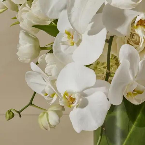 Portfolio image for French Florist