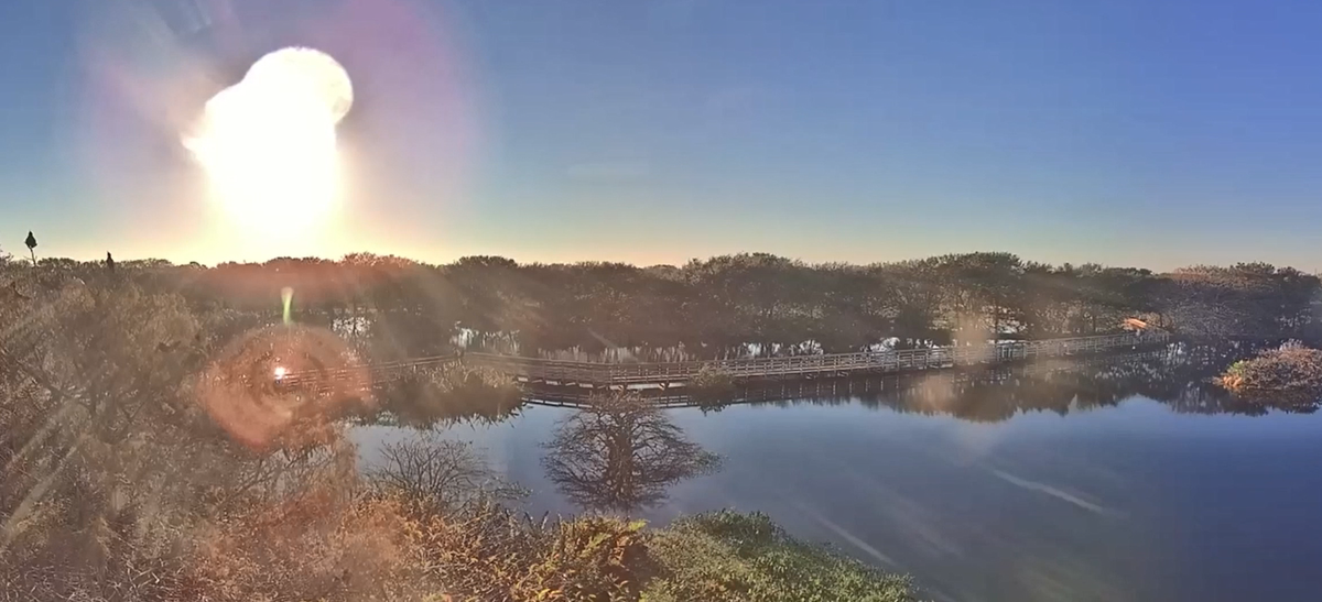 Wakodahatchee Wetlands