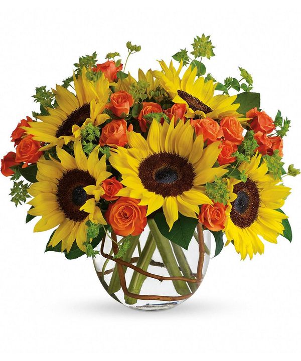 Portfolio image for Welke's House of Roses