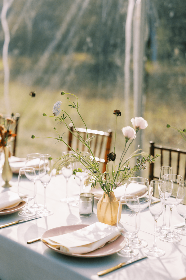 Portfolio image for Earth Within Flowers