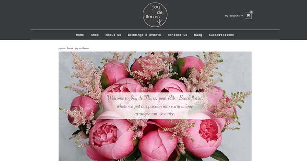 Portfolio image for Neroli Blume