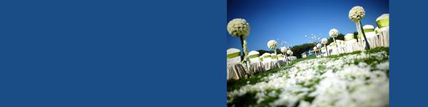 Portfolio image for Peak Perfection Event Design