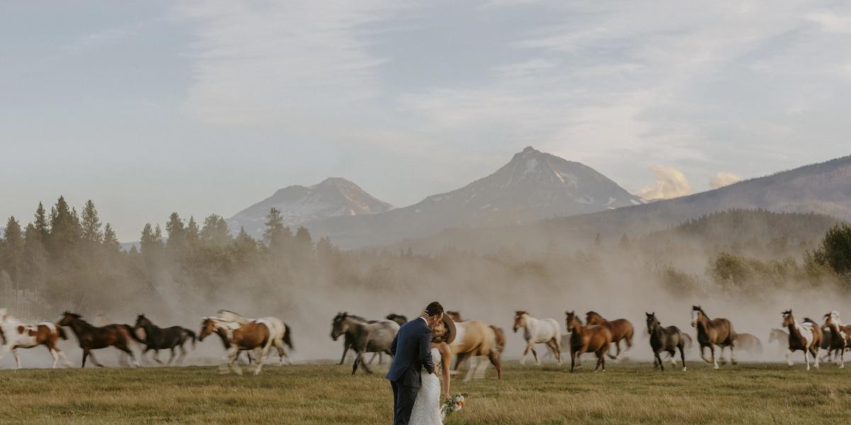Victoria Carlson Photography
