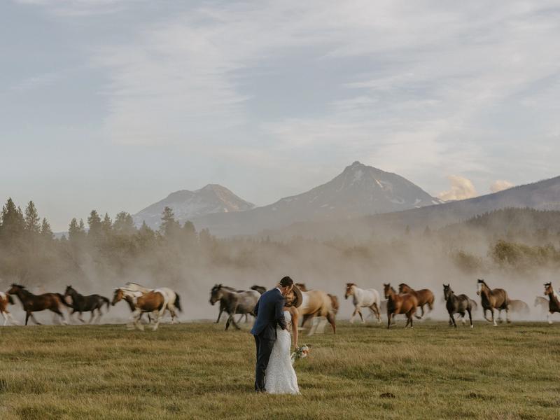 Victoria Carlson Photography