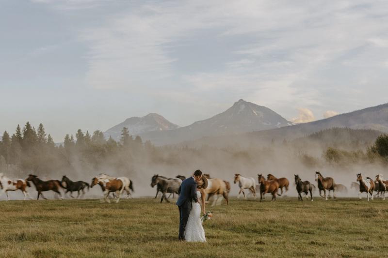 Victoria Carlson Photography