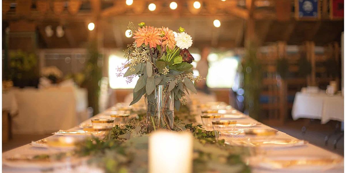 Catherine J. Gross Photography