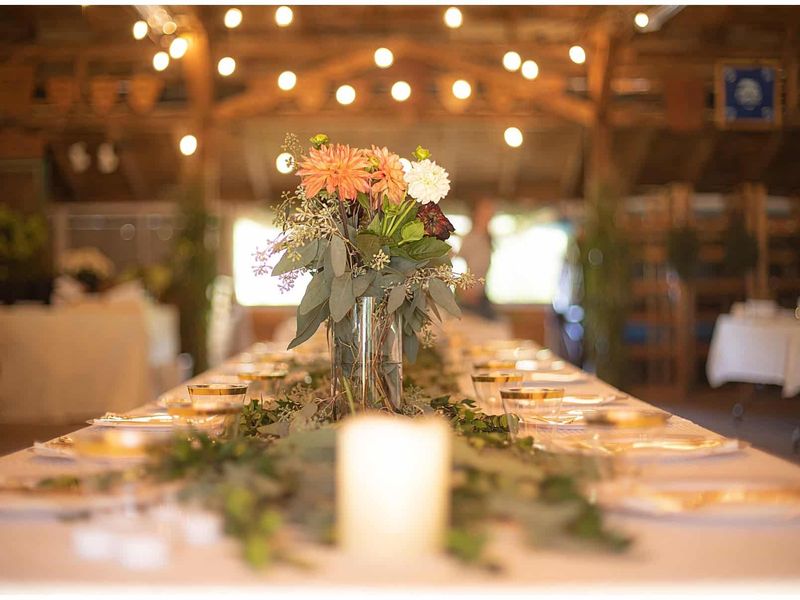 Catherine J. Gross Photography