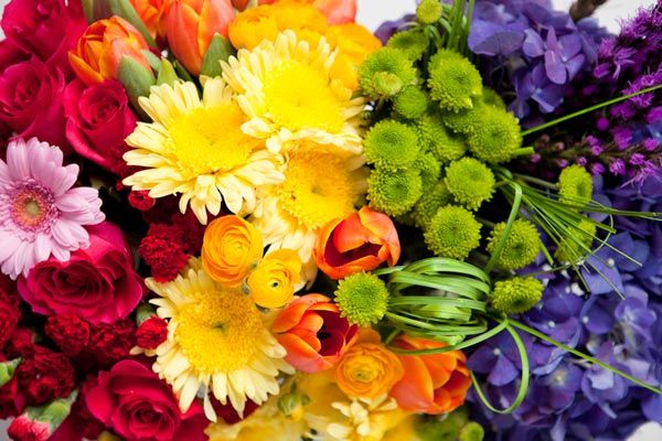 Portfolio image for The Wild Orchid Florist and Flower Shop