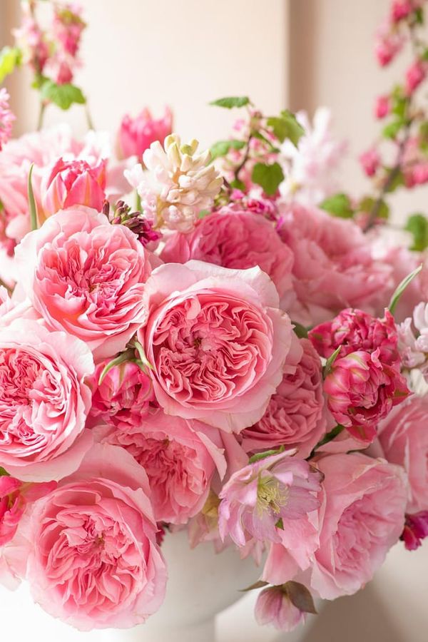 Portfolio image for David Austin Wedding Roses