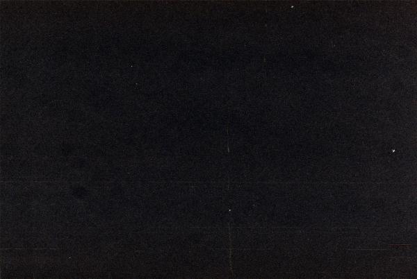 Portfolio image for Salt + Pine Films