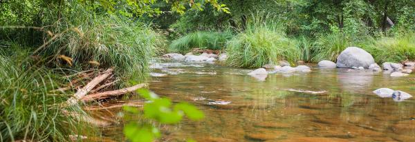 Gallery image for Creekside Inn Sedona