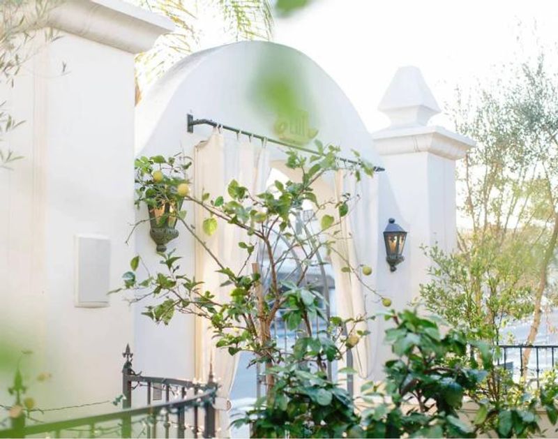 Villa & Vine Weddings
