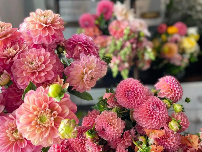 Fiori Floral Studio
