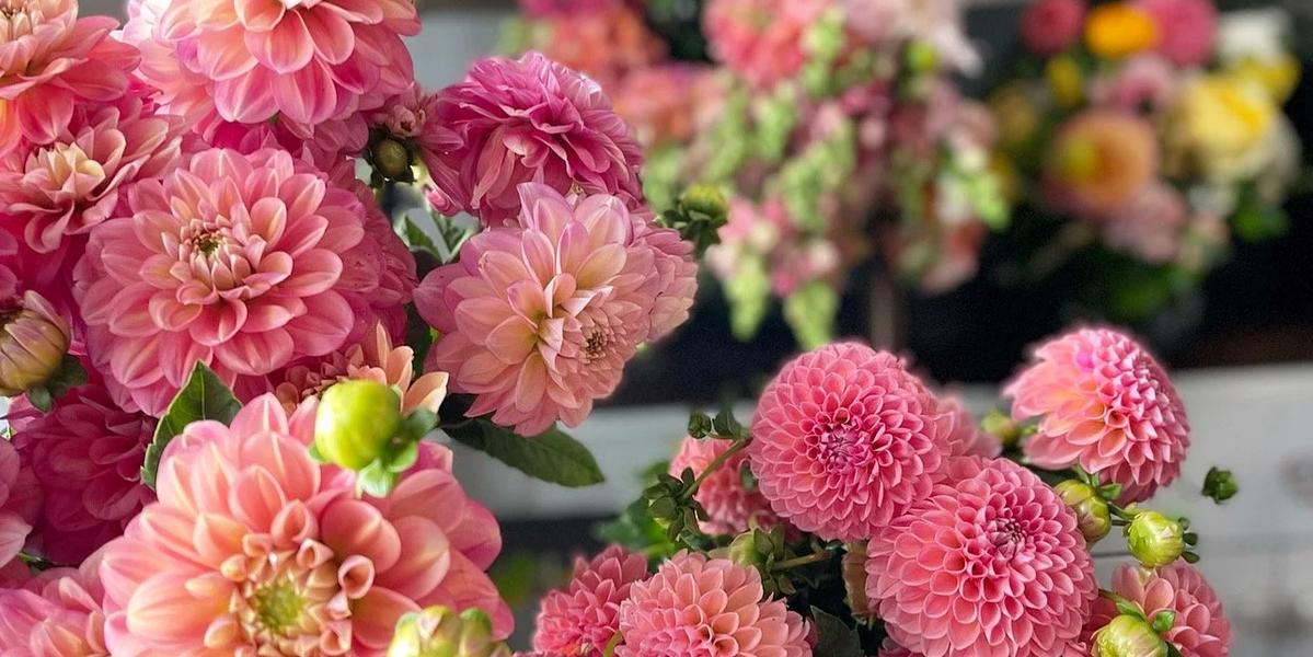 Fiori Floral Studio