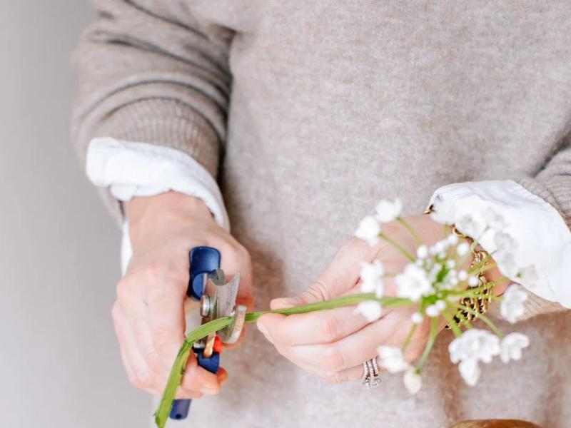Tupelo Floral Company