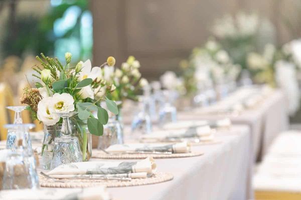 Portfolio image for Catherine J. Gross Photography
