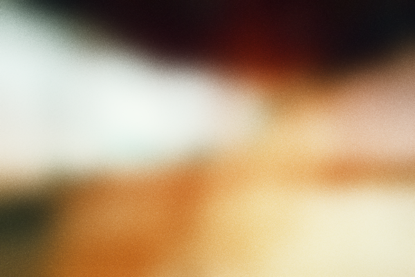 Portfolio image for Salt + Pine Films