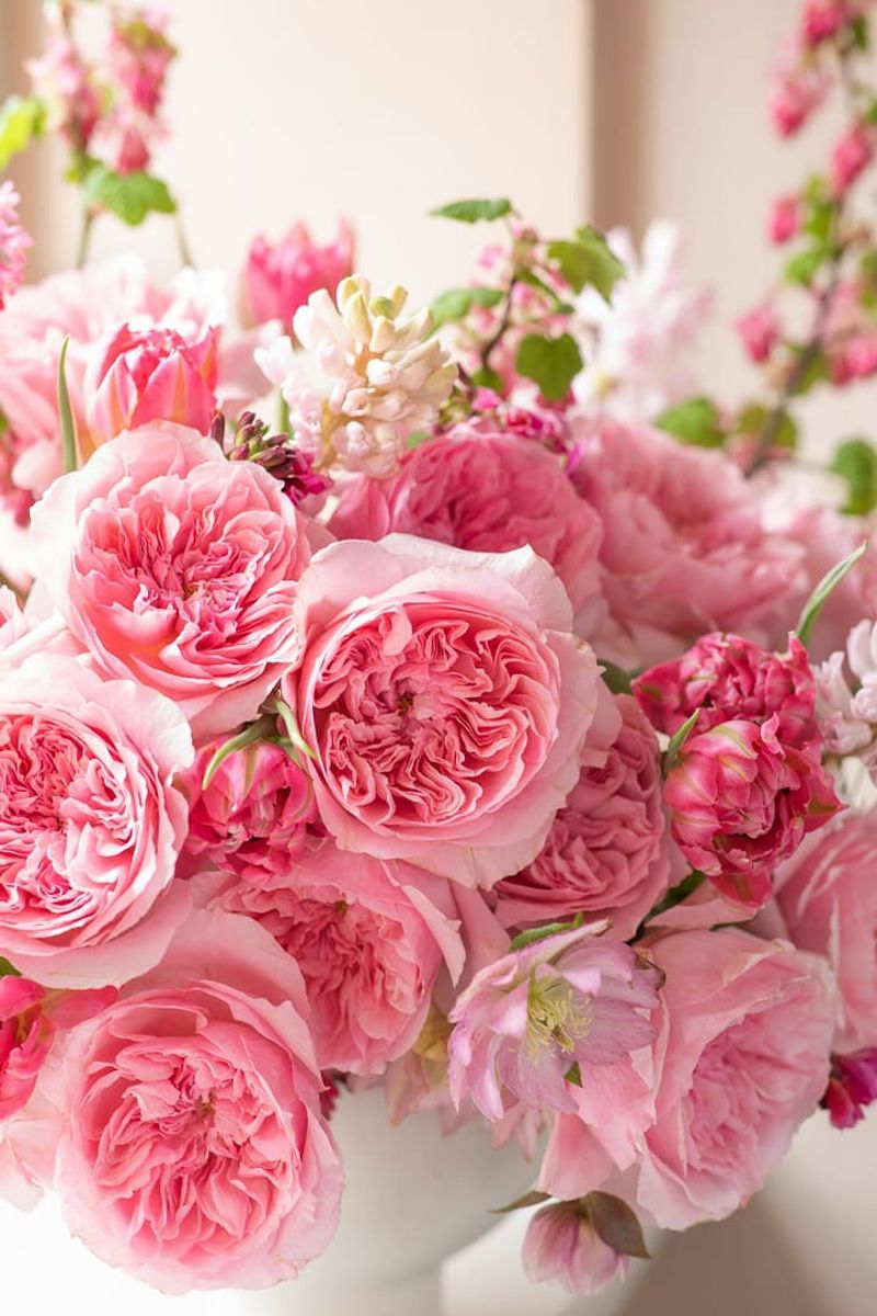 David Austin Wedding Roses