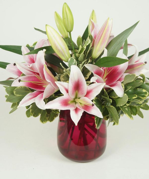 Portfolio image for Shotwell Floral & Greenhouse