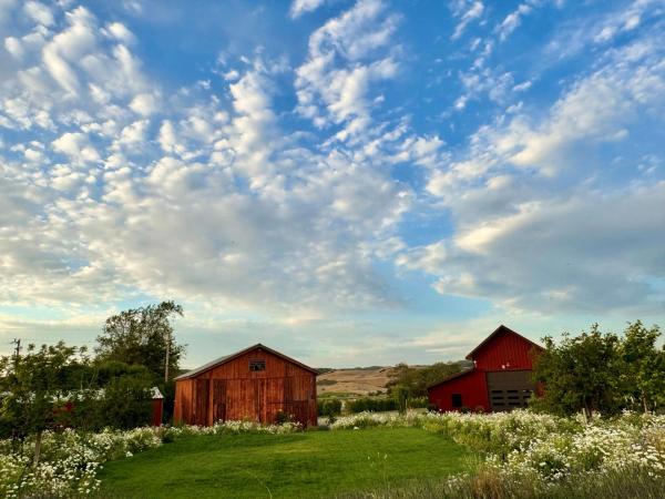 Gallery image for Las Cumbres Ranch