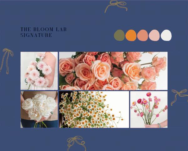 Portfolio image for The Bloom Lab