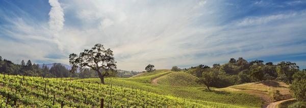 Gallery image for Kenwood Estate