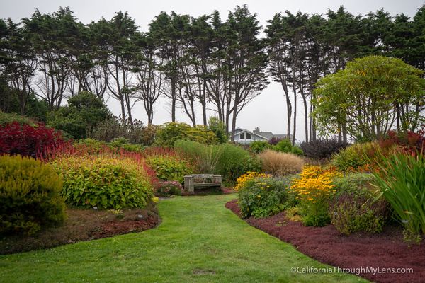 Gallery image for Mendocino Coast Botanical Gardens