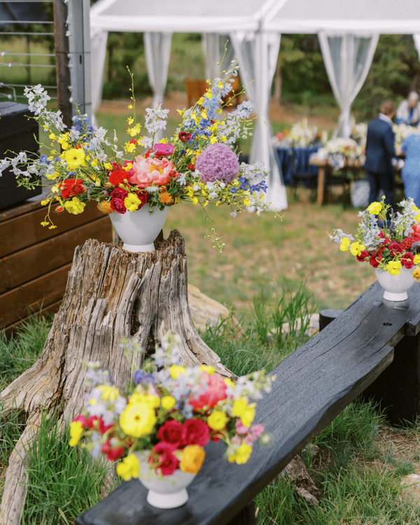 Portfolio image for Mountain Flowers of Aspen
