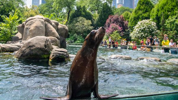 Gallery image for Central Park Zoo