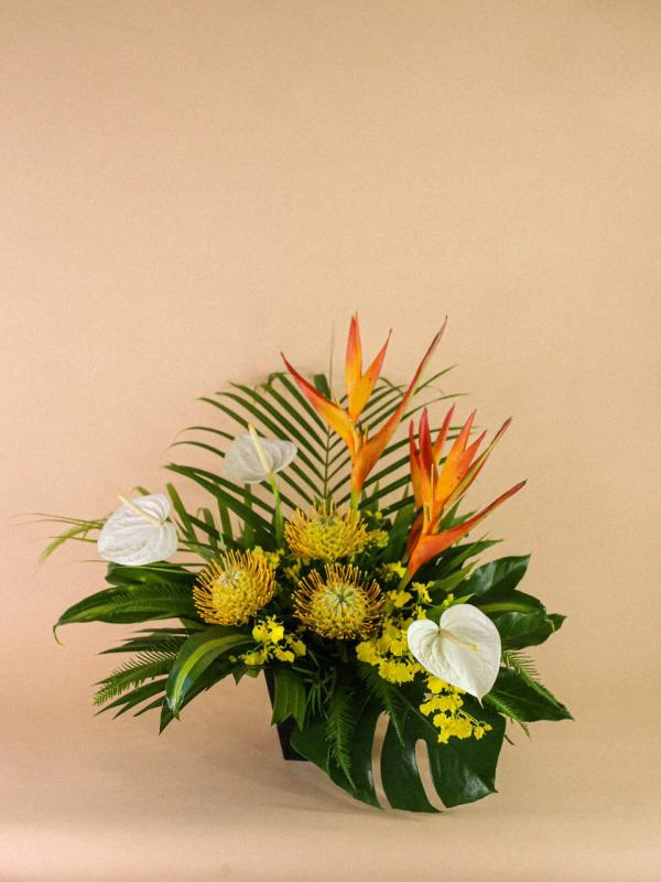 Portfolio image for Bella Bloom Maui