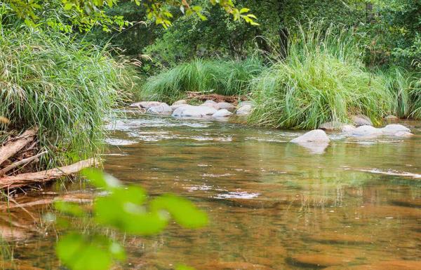Gallery image for Creekside Inn Sedona