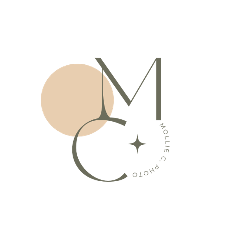 Mollie C. Photography
