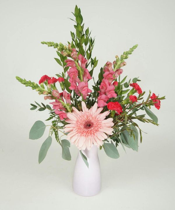 Portfolio image for Shotwell Floral & Greenhouse