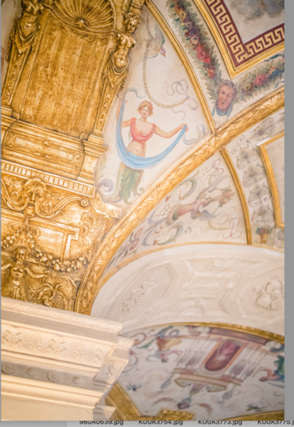 Portfolio image for Brianna Graca Weddings