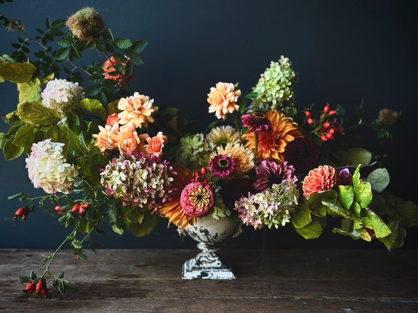 Portfolio image for Terra Bella Flowers