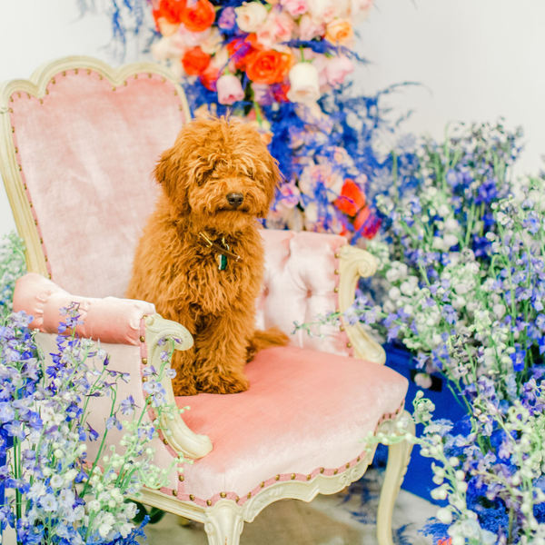Gallery image for Event Design by BE