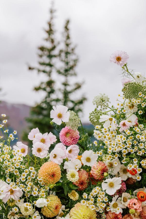 Portfolio image for Betsi Ewing Weddings