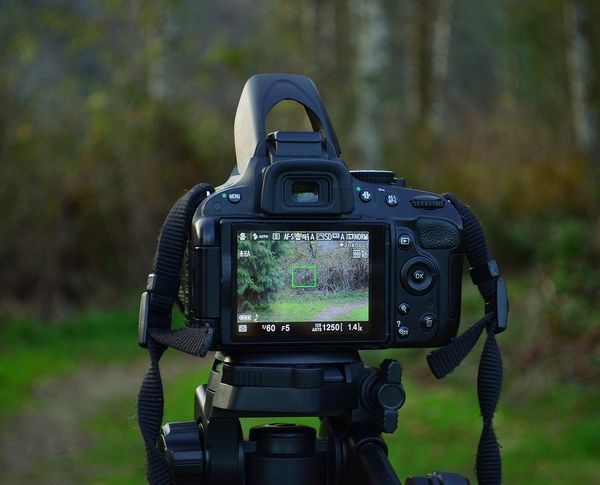 Portfolio image for OSSS Photography and Videography