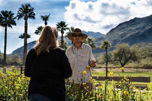 Portfolio image for Castle Hot Springs