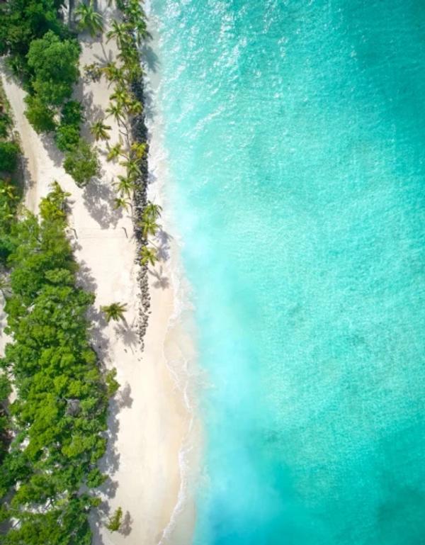 Gallery image for Mustique Island